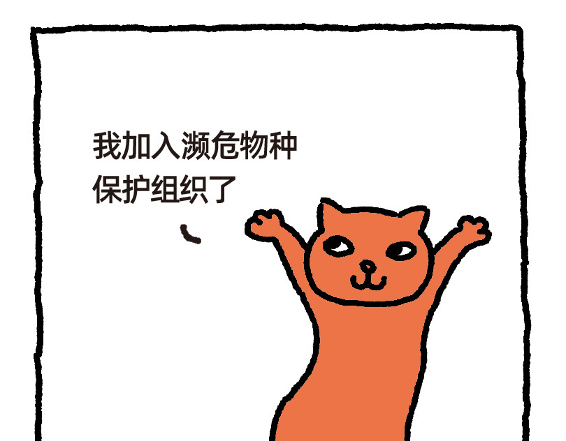 爱老虎油 濒危物种 第3页