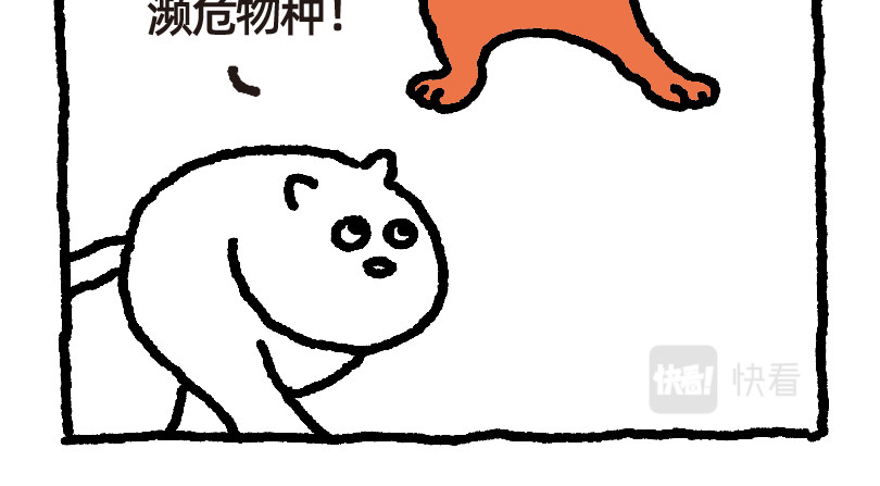 爱老虎油 濒危物种 第10页