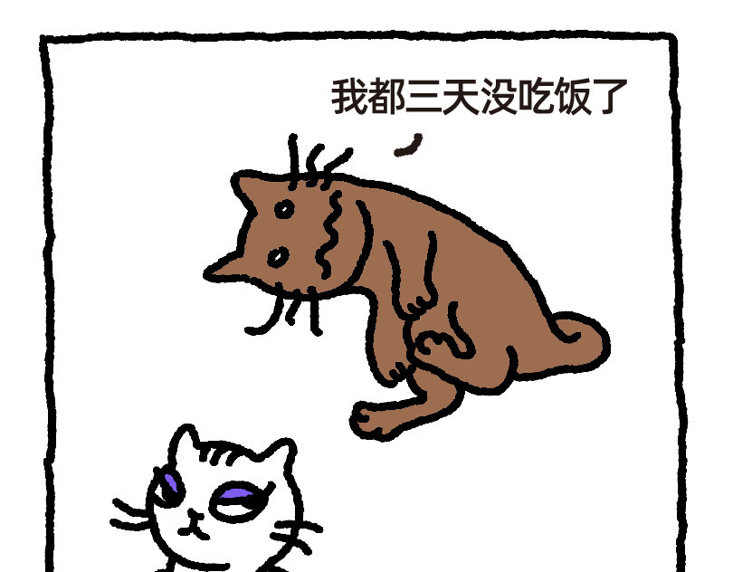 爱老虎油 红枣馒头 第3页
