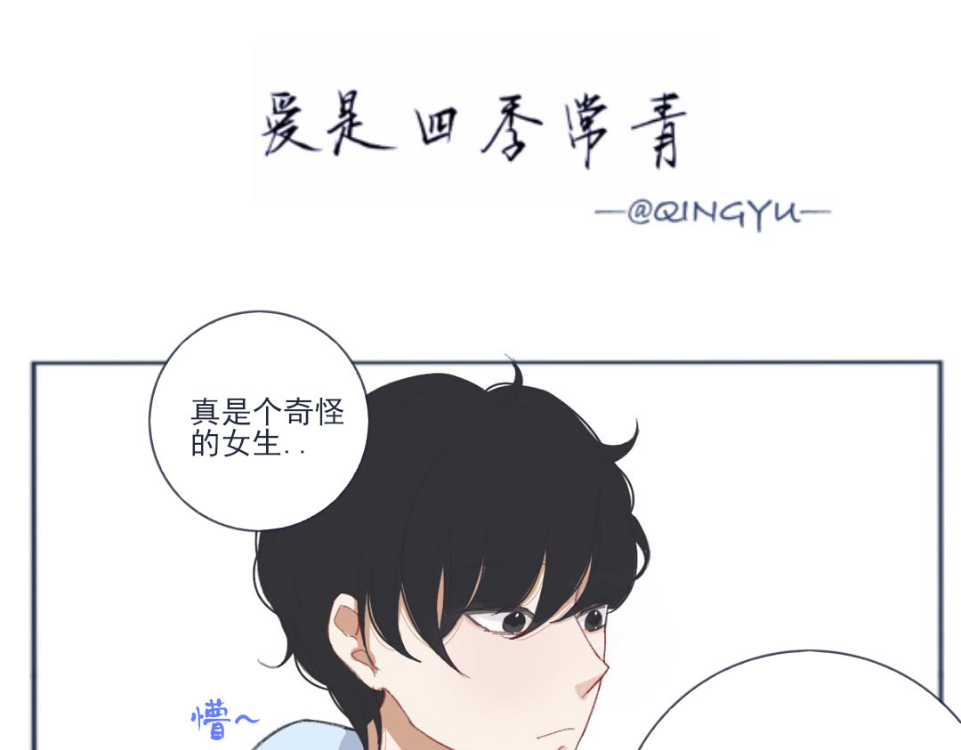 爱是四季常青 总有些惊奇的相遇（下） 第13页
