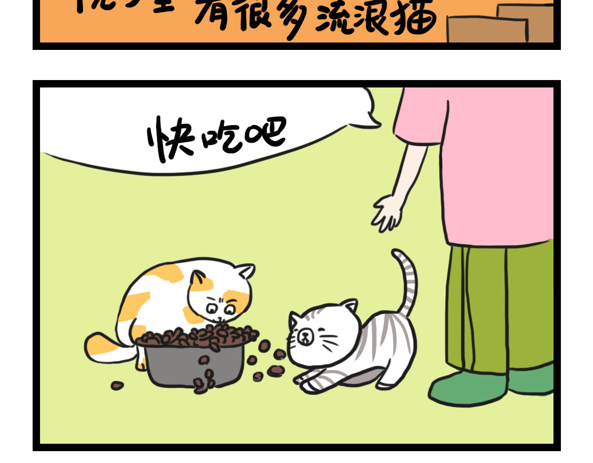 咸鱼妹的素食100天 素食陷阱 第9页