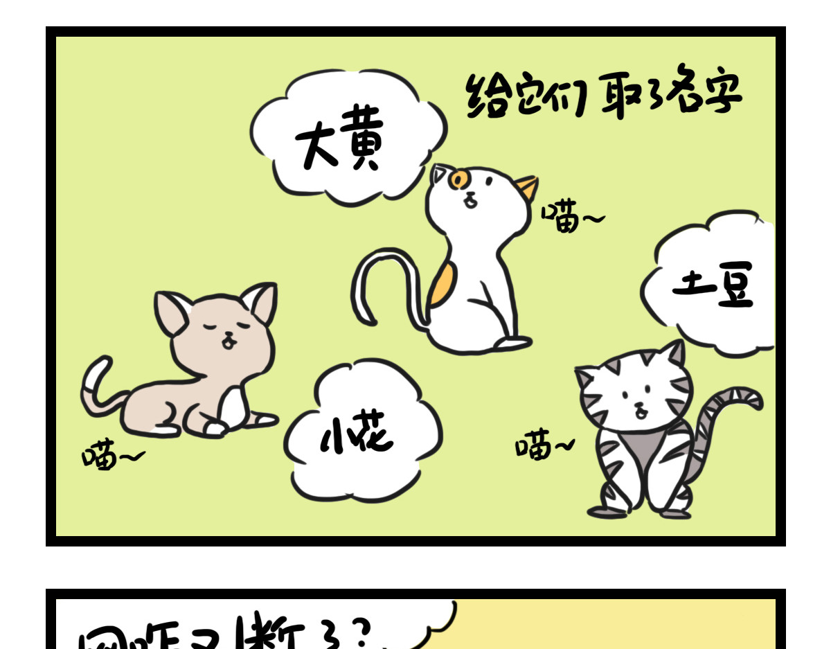 咸鱼妹的素食100天 素食陷阱 第10页