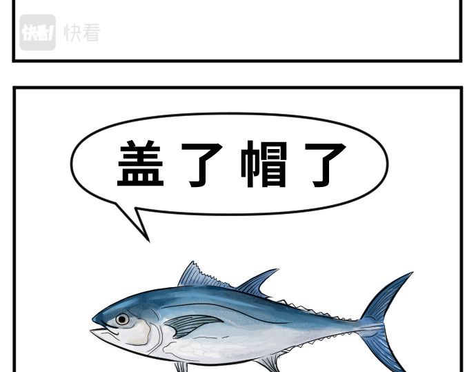 动物为什么这么可爱？ 今天不允许emo 第13页