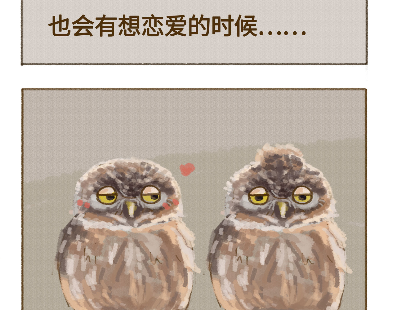 动物为什么这么可爱？ 今天不允许emo 第16页