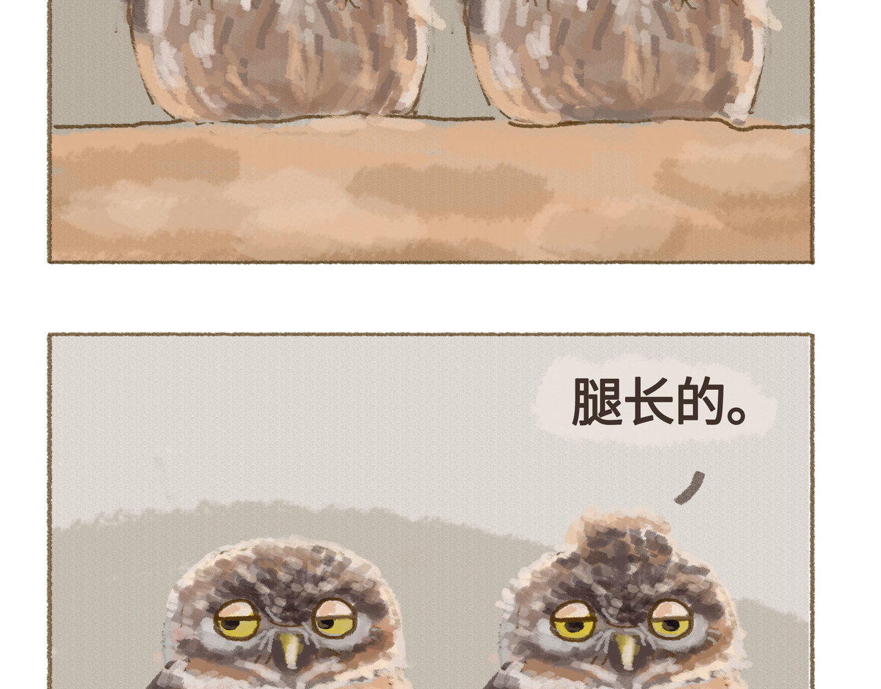动物为什么这么可爱？ 今天不允许emo 第18页