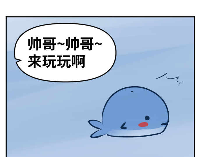 动物为什么这么可爱？ 今天不允许emo 第7页