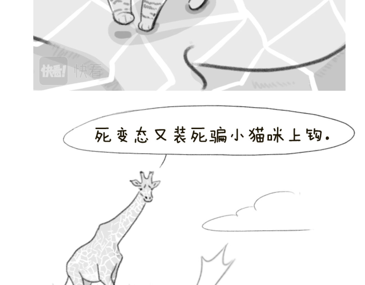 动物为什么这么可爱？ 世界上最致命的猫1 第13页