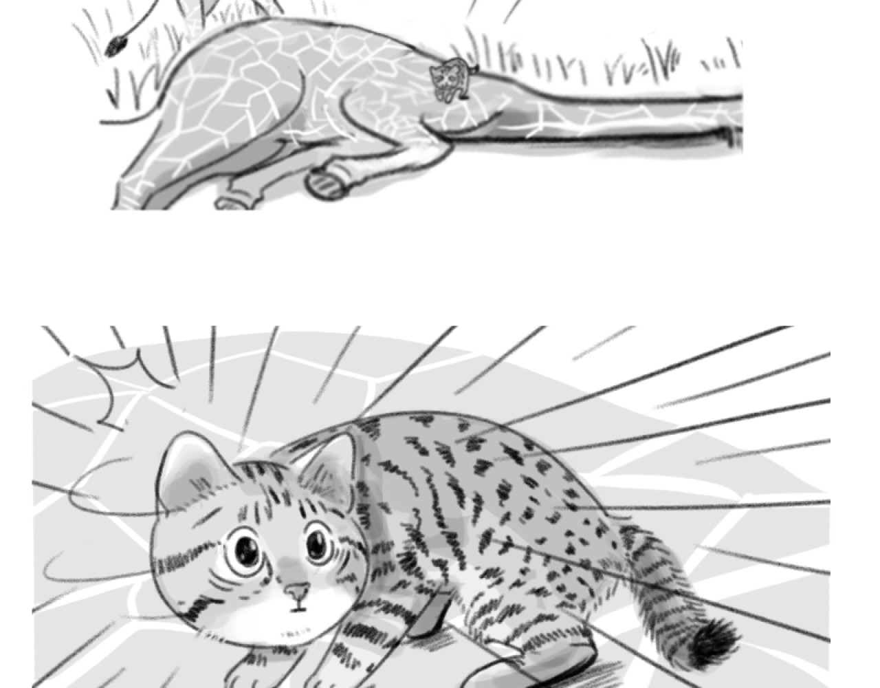 动物为什么这么可爱？ 世界上最致命的猫1 第14页