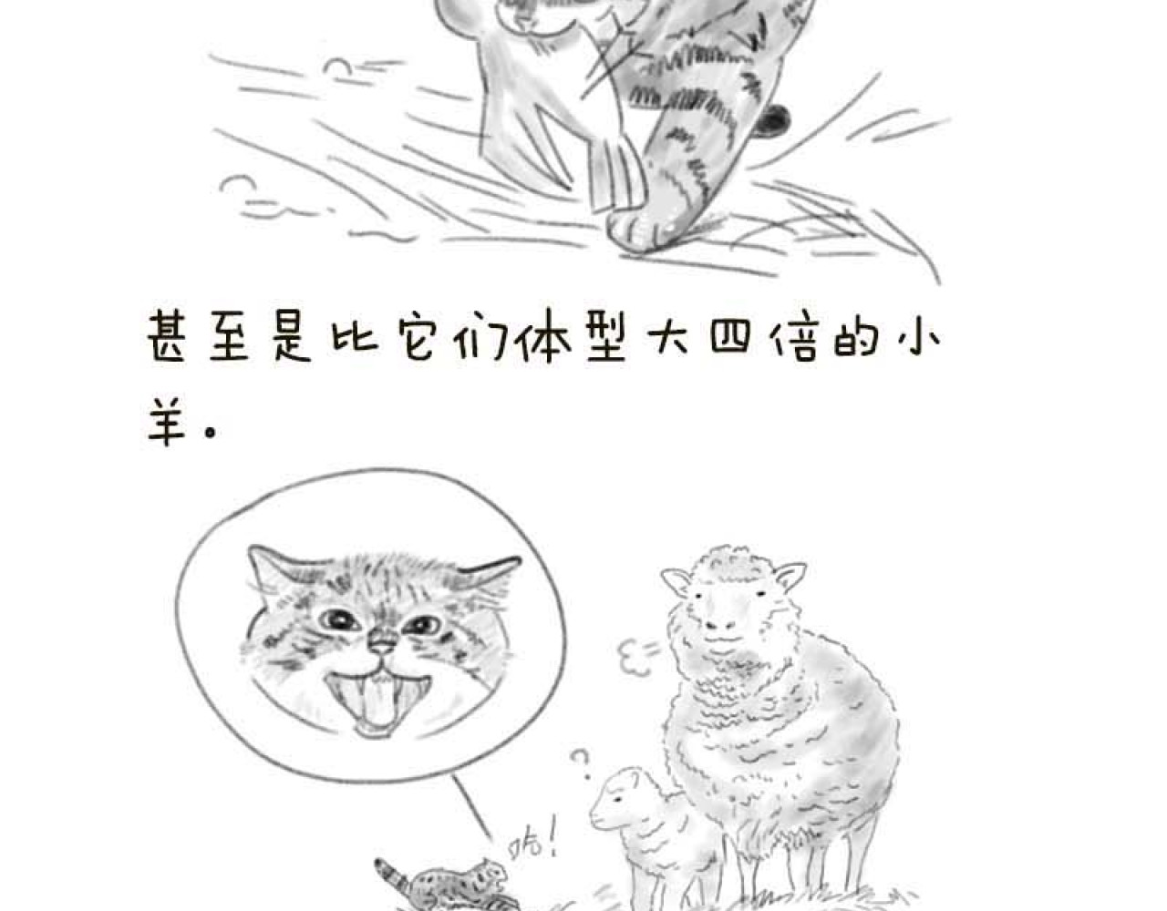 动物为什么这么可爱？ 第4页