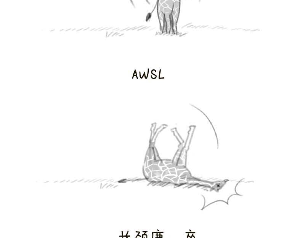 动物为什么这么可爱？ 第8页