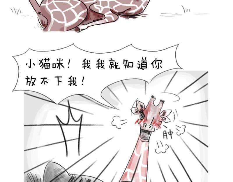 动物为什么这么可爱？ 世界上最致命的猫2 第17页