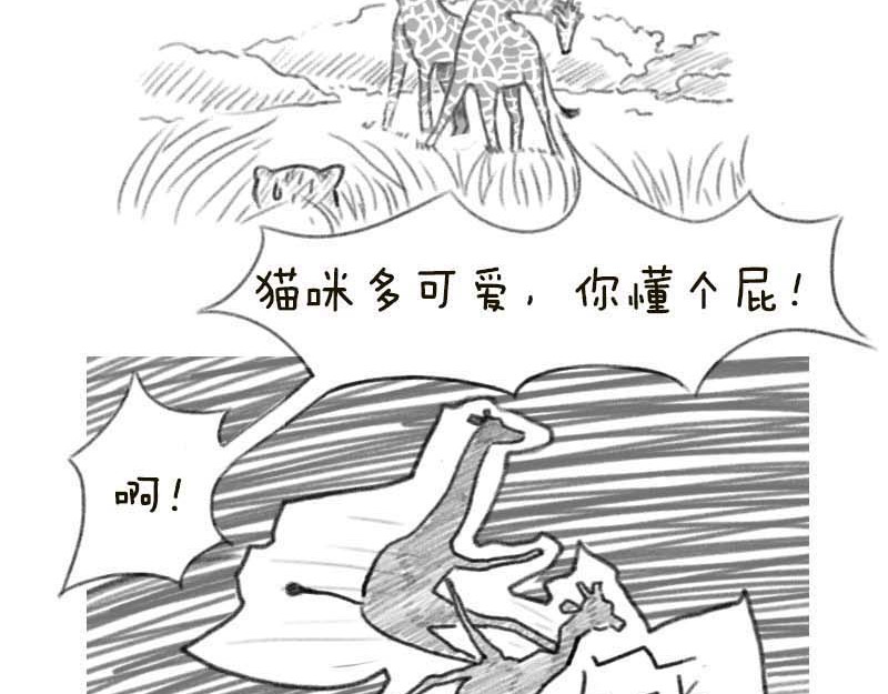 动物为什么这么可爱？ 世界上最致命的猫2 第3页