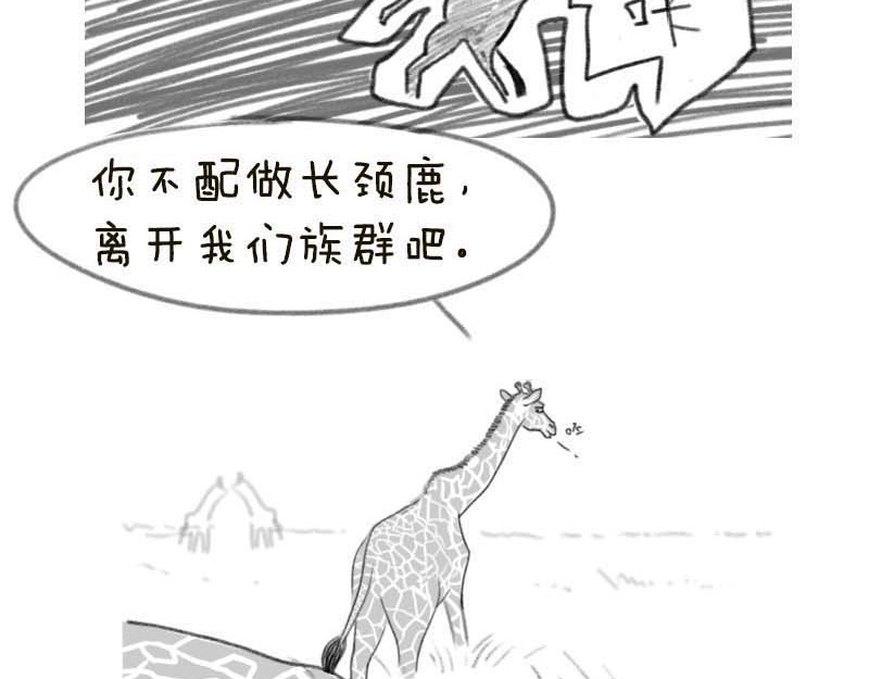 动物为什么这么可爱？ 世界上最致命的猫2 第4页