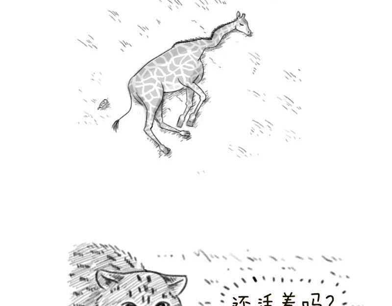 动物为什么这么可爱？ 世界上最致命的猫2 第8页