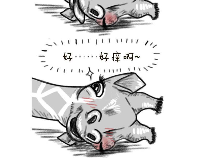动物为什么这么可爱？ 世界上最致命的猫2 第10页