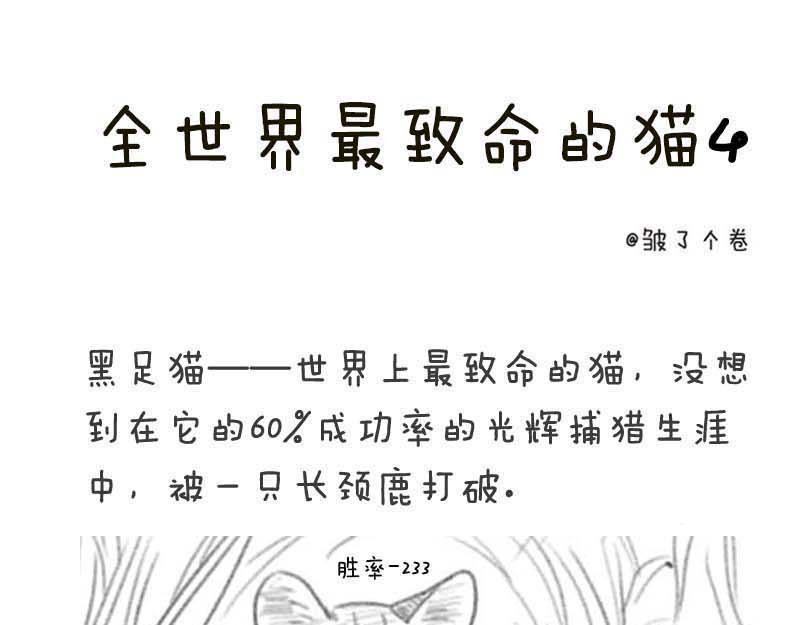 动物为什么这么可爱？ 世界上最致命的猫3 第1页