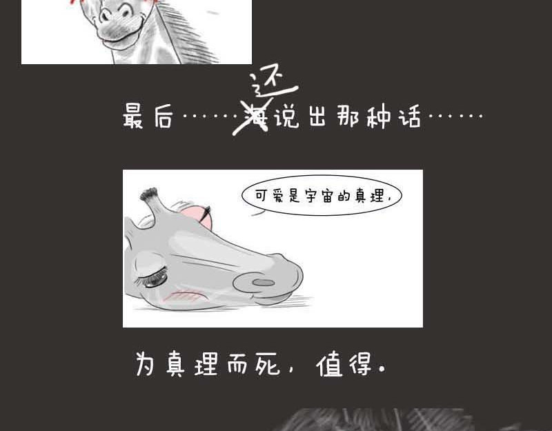 动物为什么这么可爱？ 世界上最致命的猫3 第14页