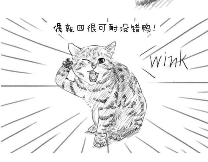 动物为什么这么可爱？ 世界上最致命的猫3 第17页