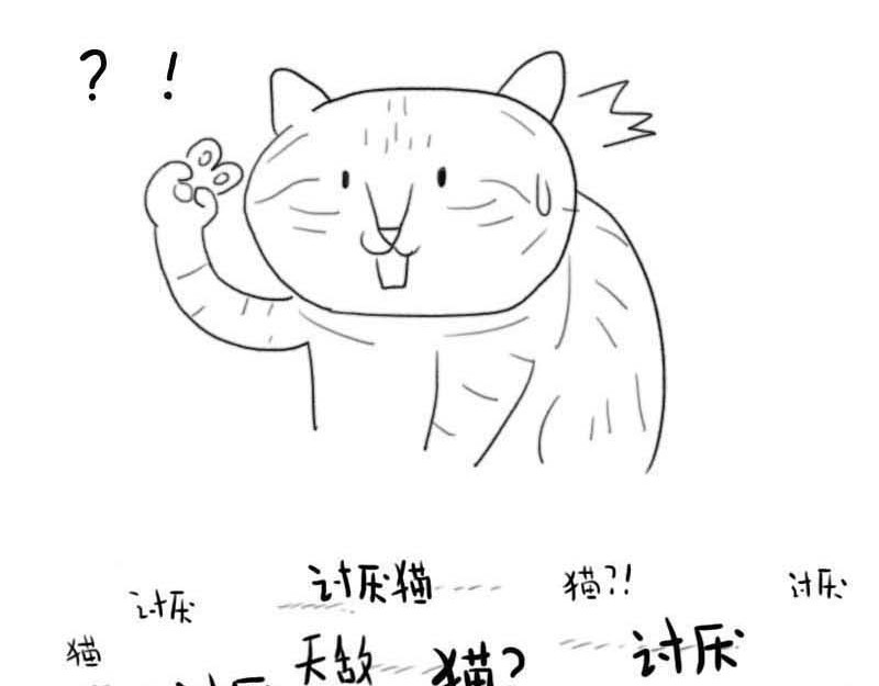 动物为什么这么可爱？ 世界上最致命的猫3 第18页