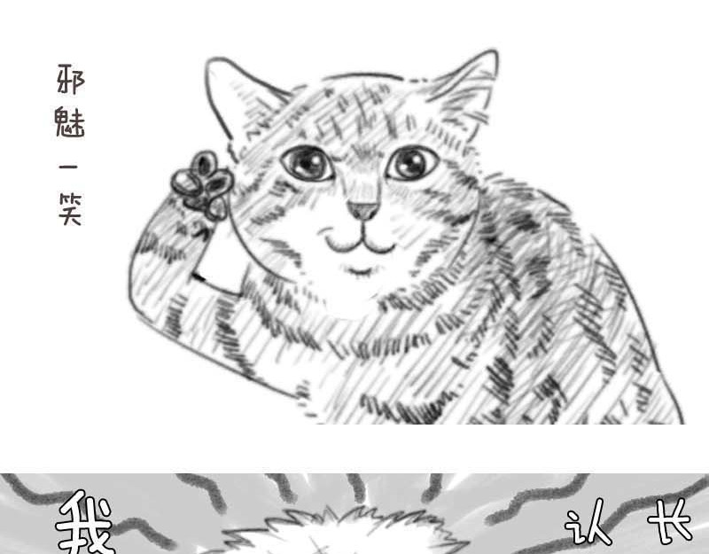 动物为什么这么可爱？ 世界上最致命的猫3 第22页