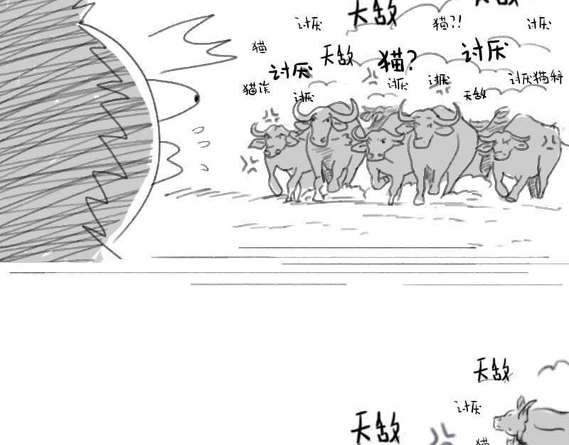 动物为什么这么可爱？ 世界上最致命的猫3 第25页