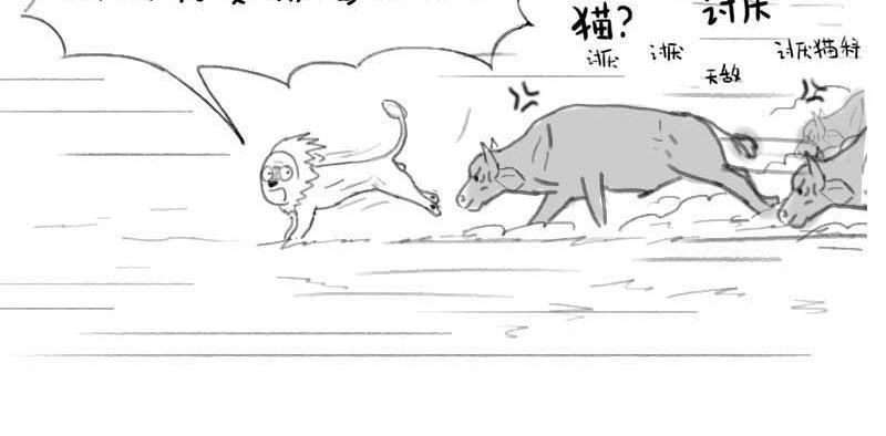 动物为什么这么可爱？ 世界上最致命的猫3 第28页