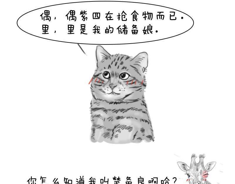 动物为什么这么可爱？ 世界上最致命的猫3 第31页