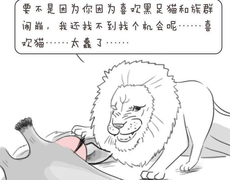 动物为什么这么可爱？ 世界上最致命的猫3 第6页
