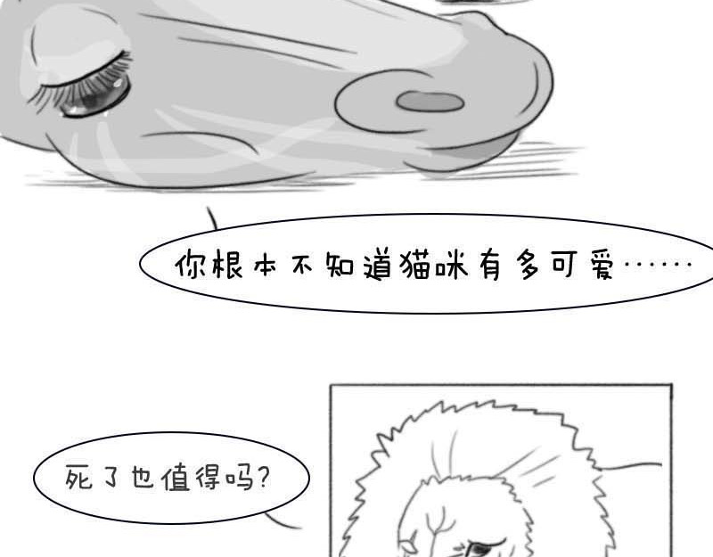 动物为什么这么可爱？ 世界上最致命的猫3 第7页