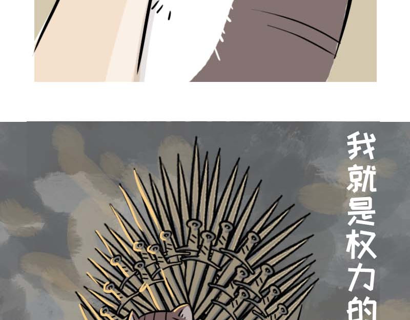 动物为什么这么可爱？ 动物眼中的世界到底是什么样的 第3页