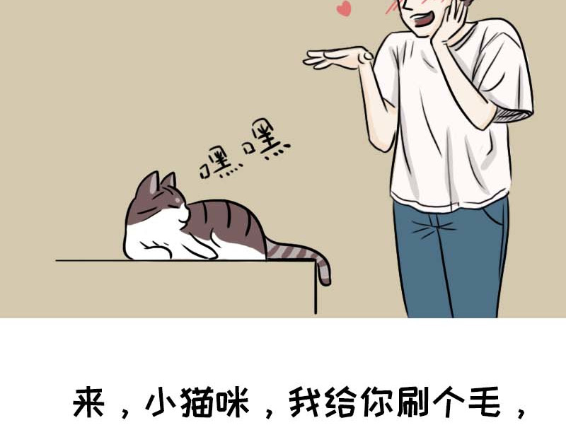 动物为什么这么可爱？ 动物眼中的世界到底是什么样的 第5页
