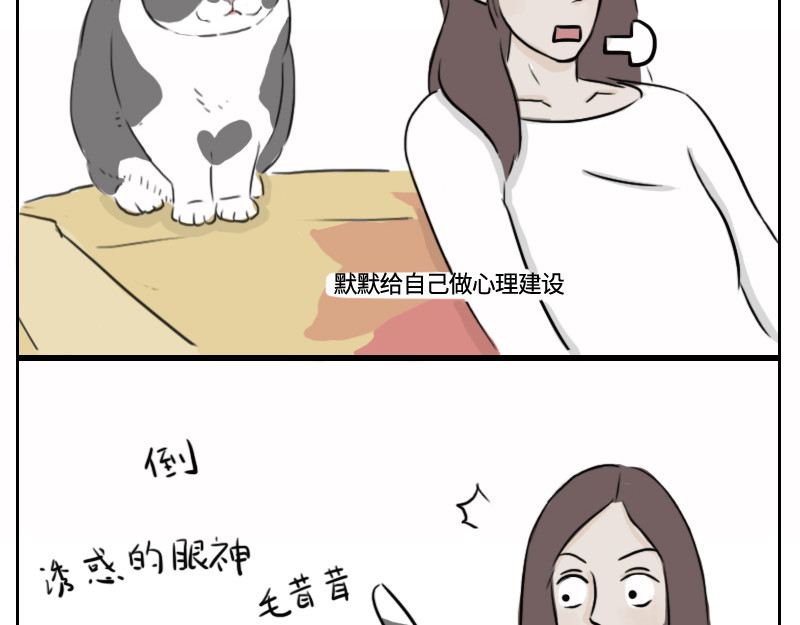 动物为什么这么可爱？ 你的小太阳上线了 第12页
