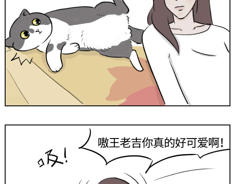 动物为什么这么可爱？ 你的小太阳上线了 第13页