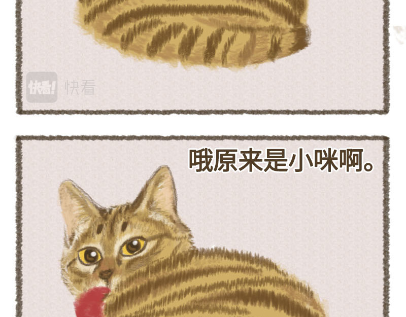 动物为什么这么可爱？ 你的小太阳上线了 第17页