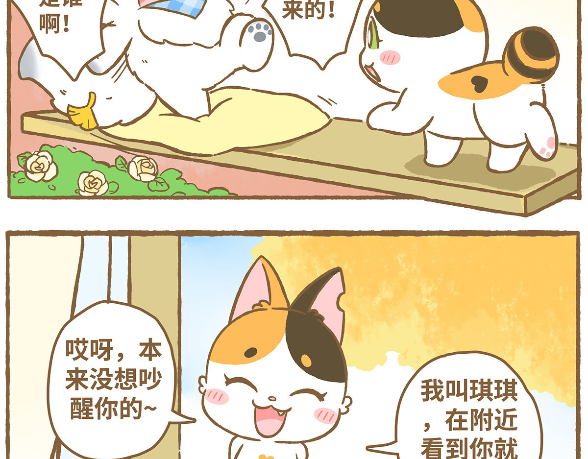 爱上我的小可爱 第6页