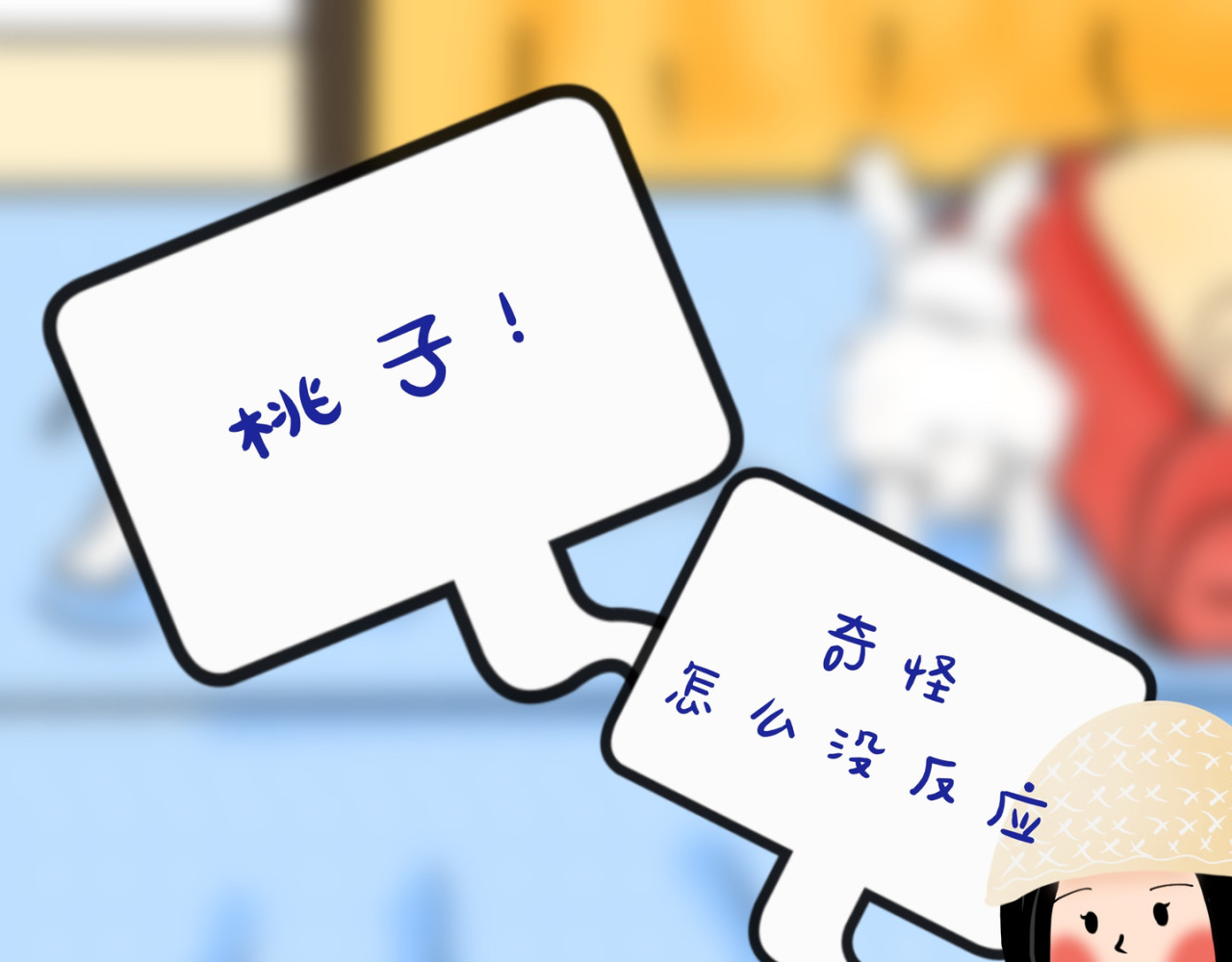 小兔桃桃 麻麻说兔兔不可以上床 第12页