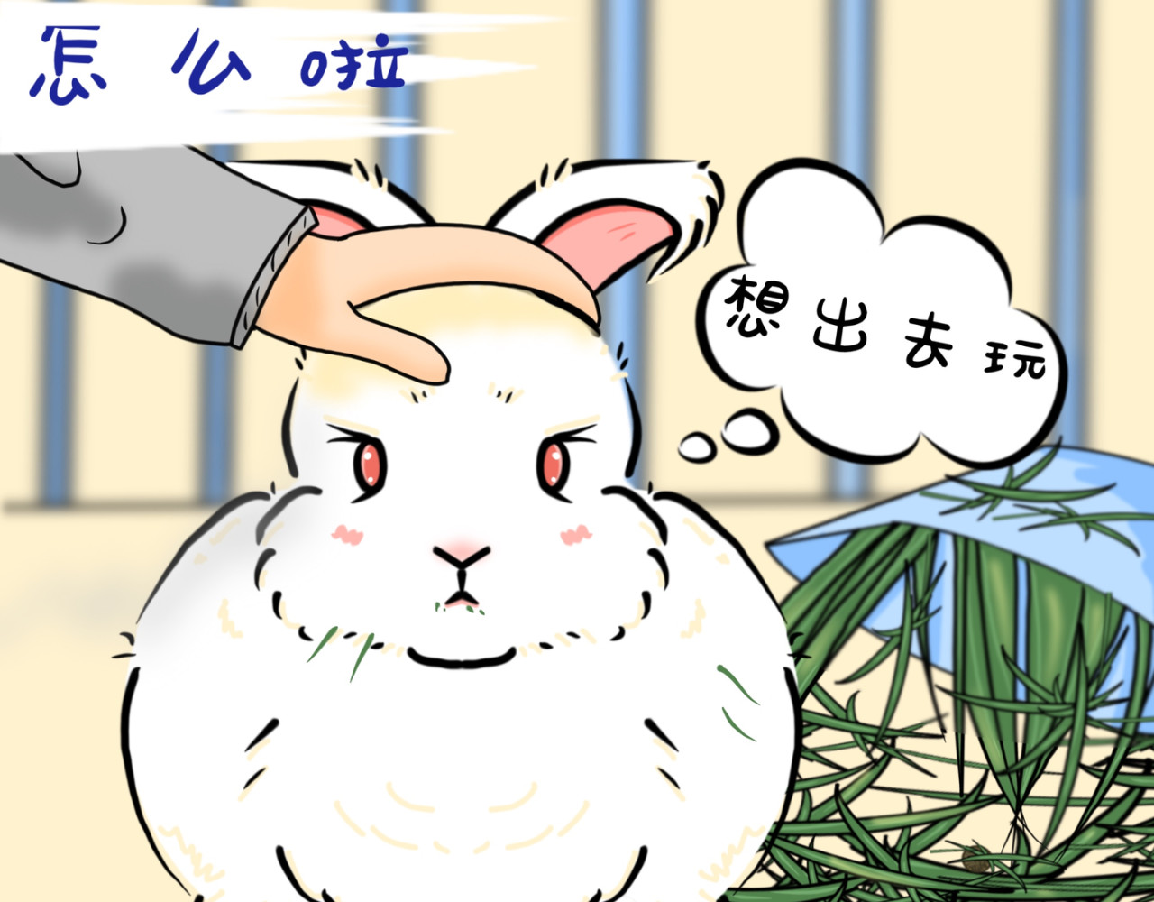小兔桃桃 出去玩 第2页