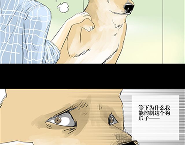 一条狗 第5页