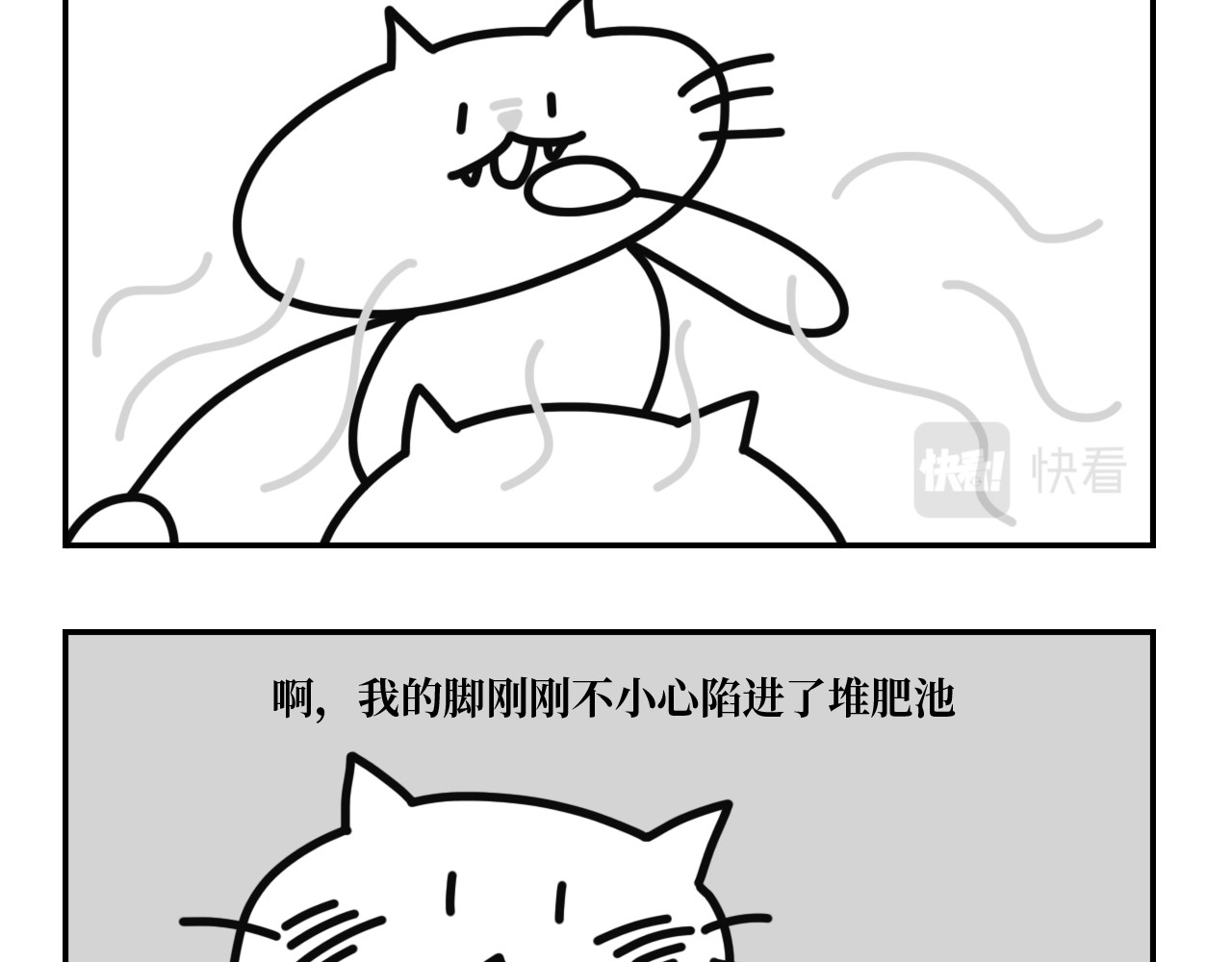 长脸猫和小猫崽子 4.闻之色变的小猫崽 第19页