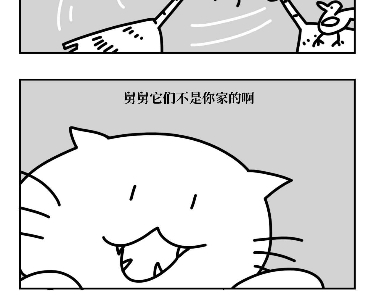 长脸猫和小猫崽子 4.闻之色变的小猫崽 第4页