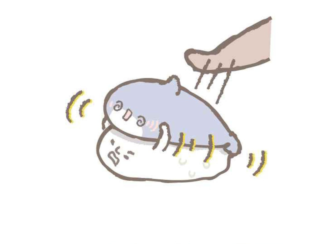 胖胖鲨 第8页