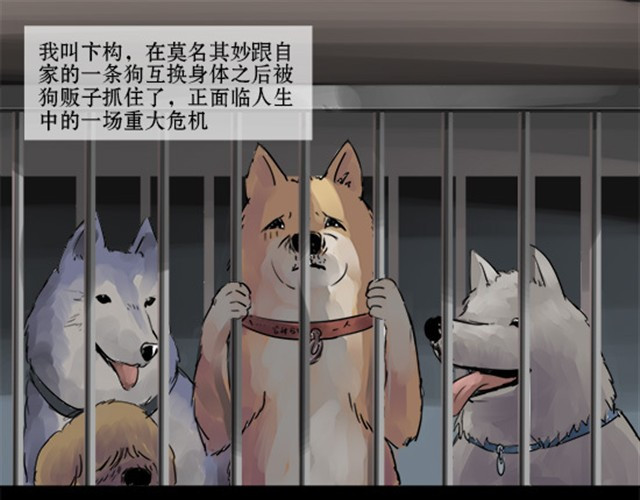 一条狗 一条狗#3 互换之旅 第1页