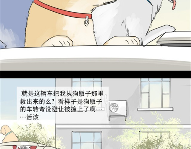 一条狗 一条狗#3 互换之旅 第11页