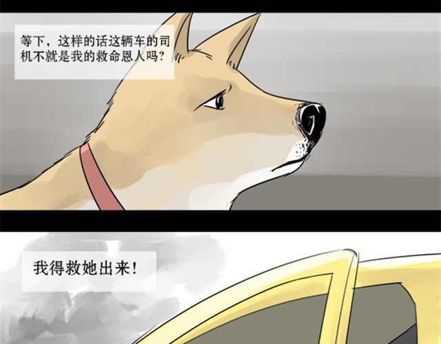 一条狗 一条狗#3 互换之旅 第13页