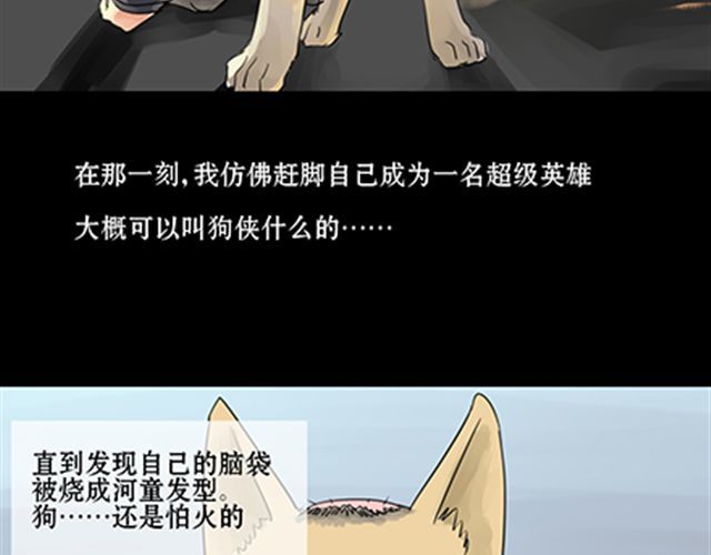 一条狗 一条狗#4 太好了 第4页