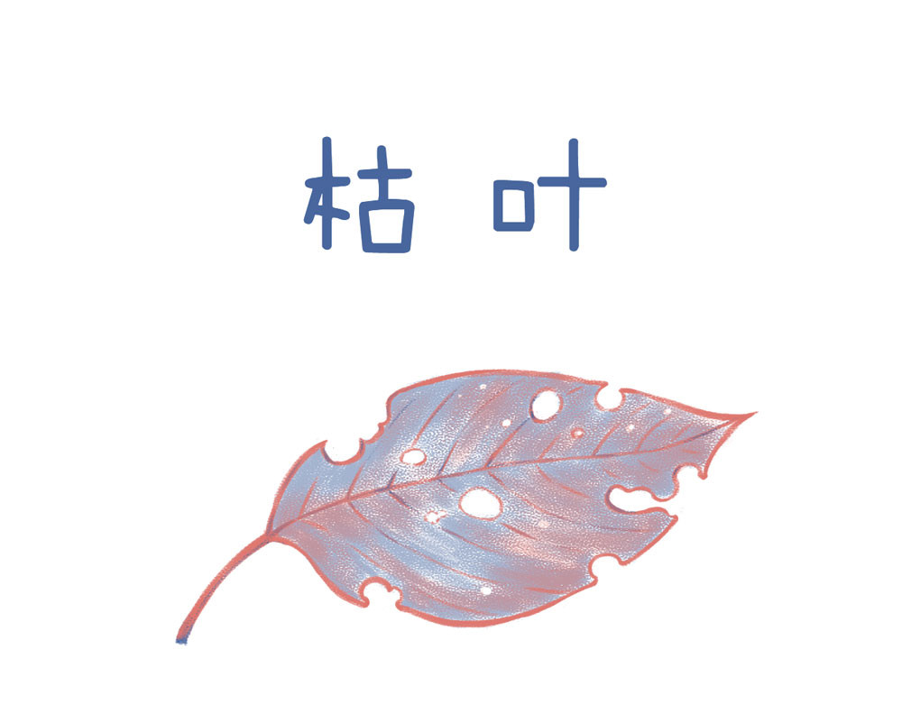 未来总会有惊喜 02枯叶 第1页