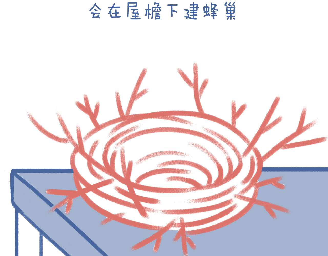未来总会有惊喜 03 窝 第6页