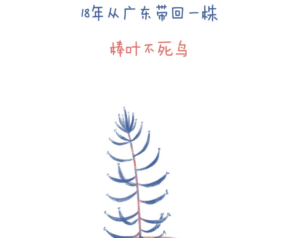 未来总会有惊喜 04不死鸟 第3页