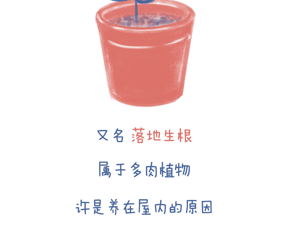 未来总会有惊喜 04不死鸟 第4页