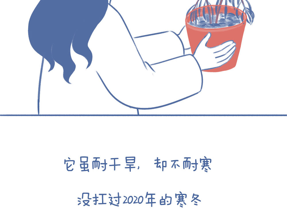 未来总会有惊喜 04不死鸟 第8页